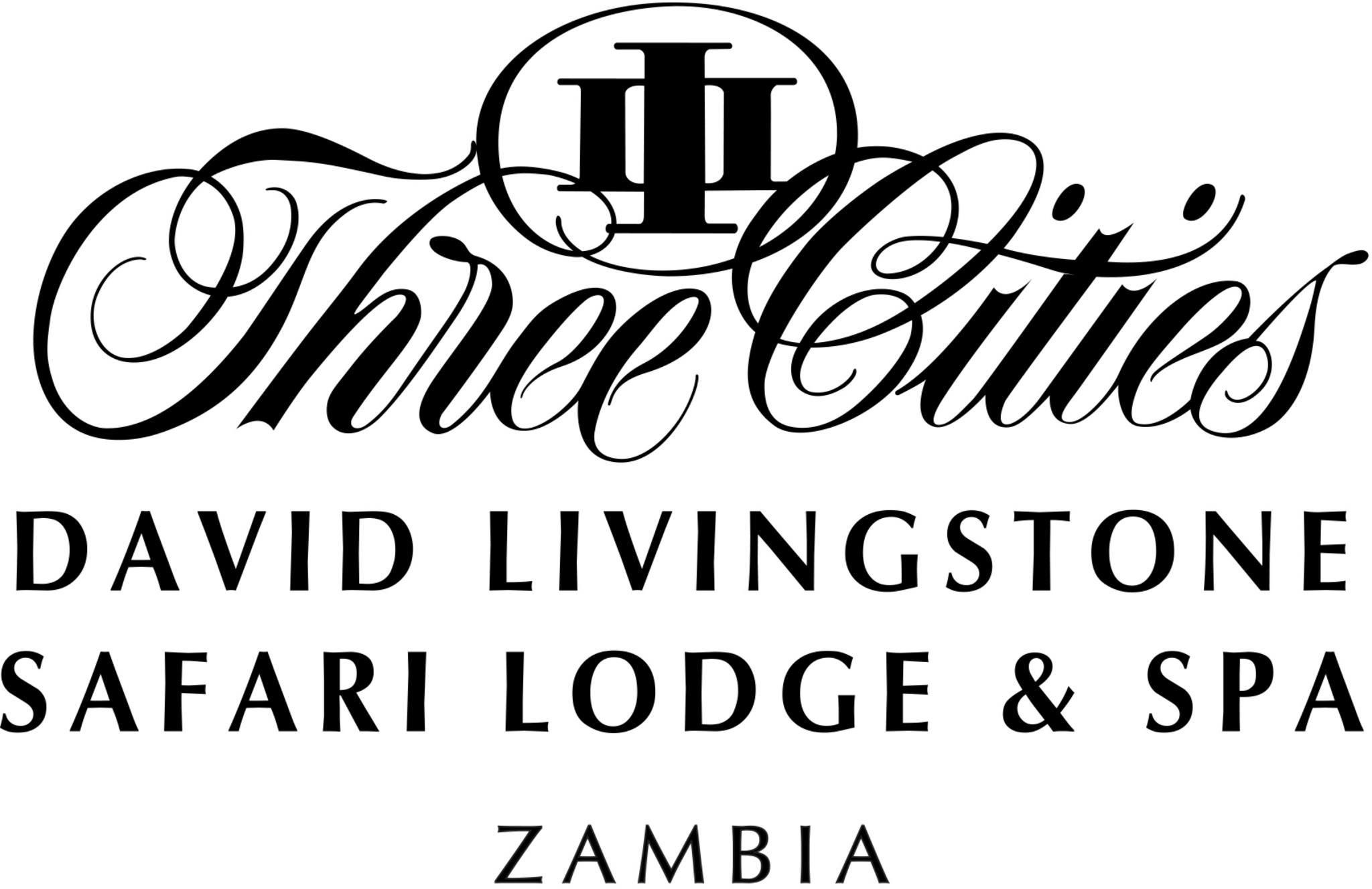 Odoo image and text block