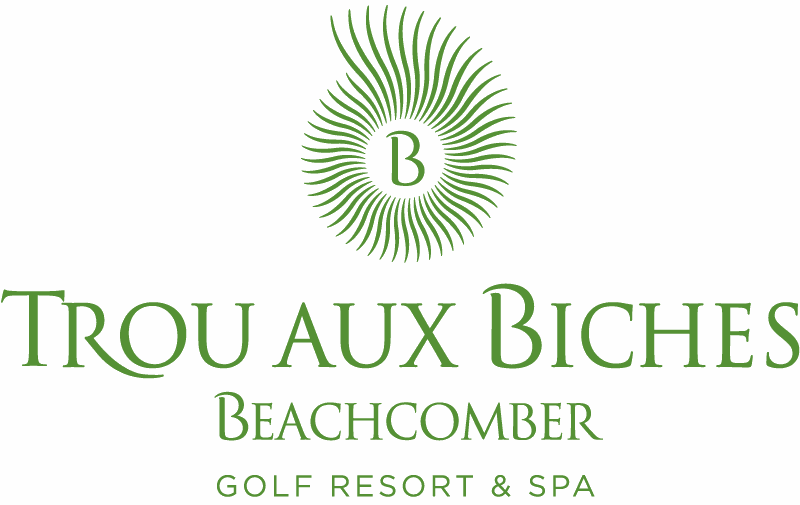 Odoo image and text block