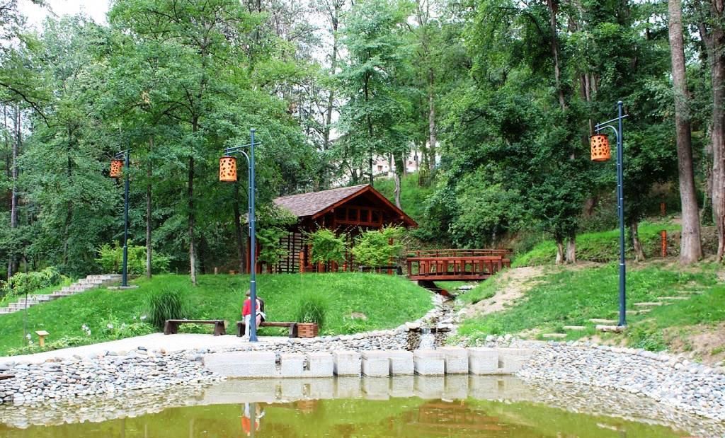 Odoo image and text block