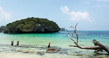 Odoo - образец 1 за три графи