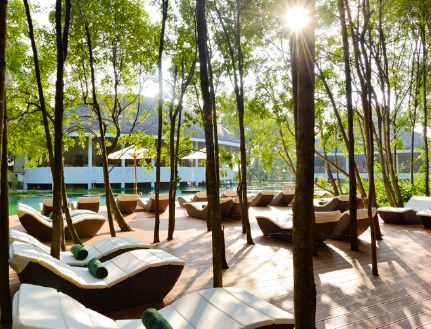 Odoo - образец 3 за три графи