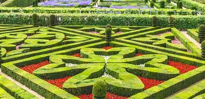 Odoo - образец 3 за три графи