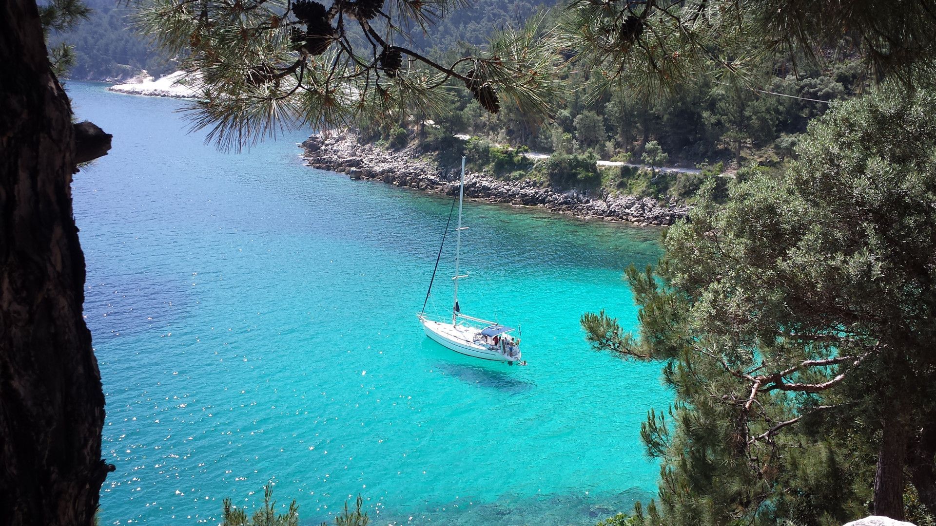 Odoo image and text block